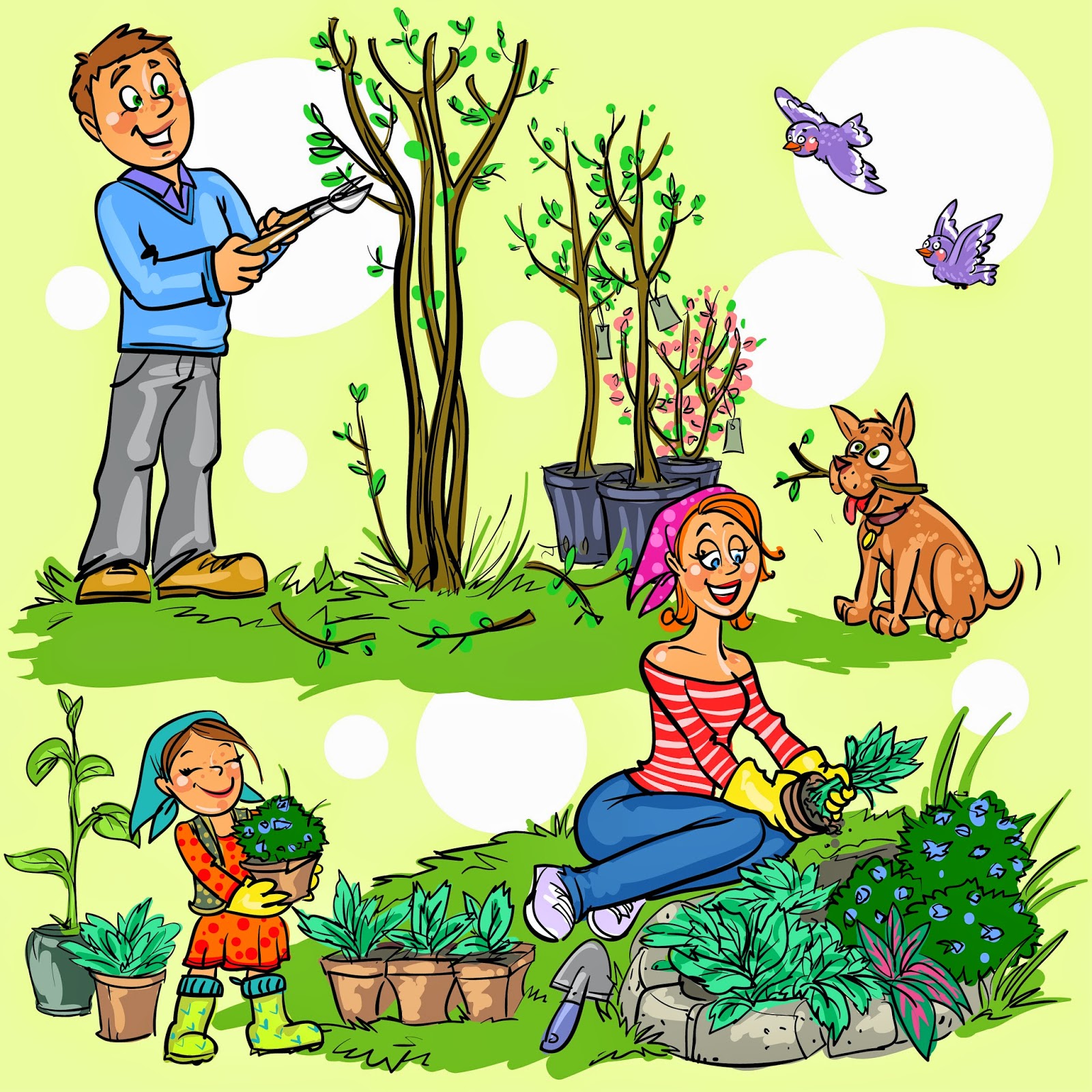 Что сажать садоводу, какие работы в саду на июнь 2020?