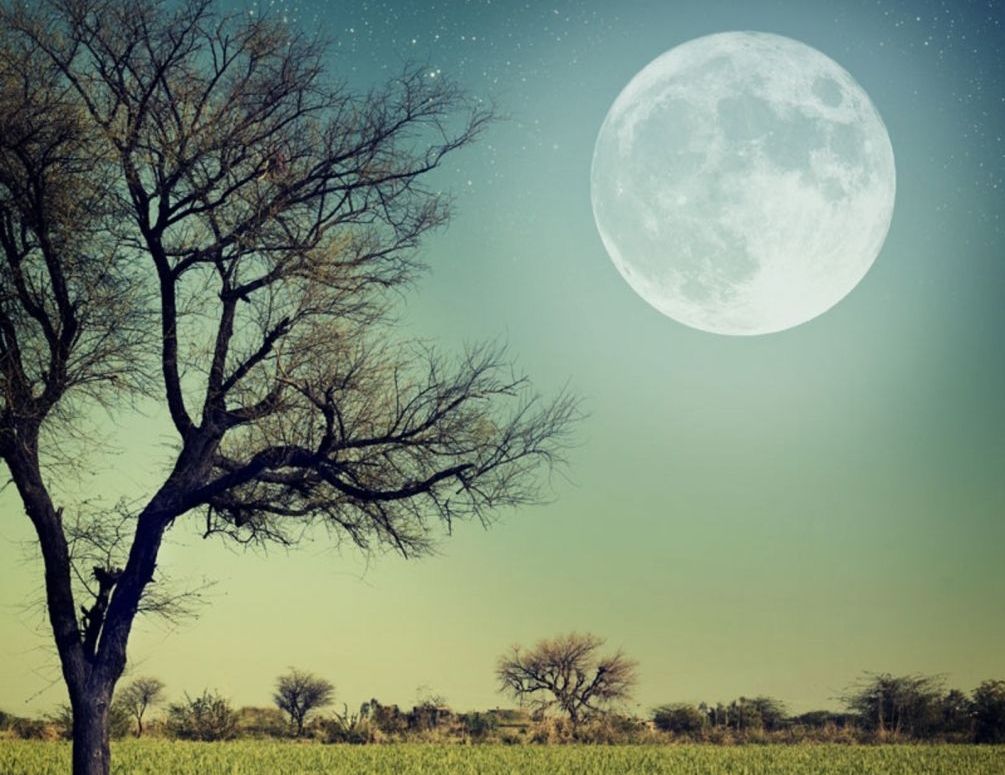 Какого числа Полнолуние, дни Полной Луны, даты с Полнолунием, когда будет в августе 2022