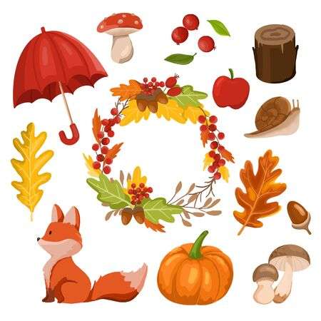 Какой будет осень, погода в сентябре, октябре, ноябре, осенний прогноз, народные приметы, растения, животные, природа 2023