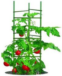 Таблица высадки томатов, рассадой помидор в 2023 г.