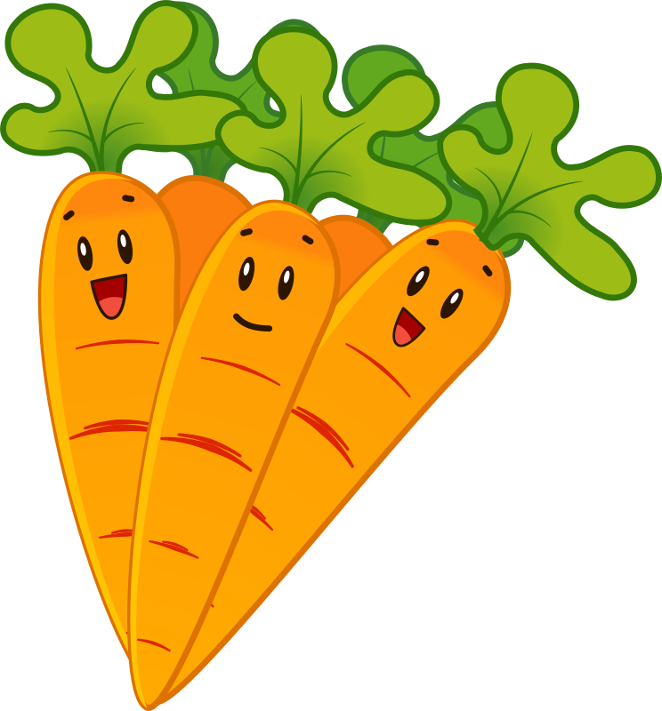 Когда высаживать морковь, посадка морковки в 2020 году