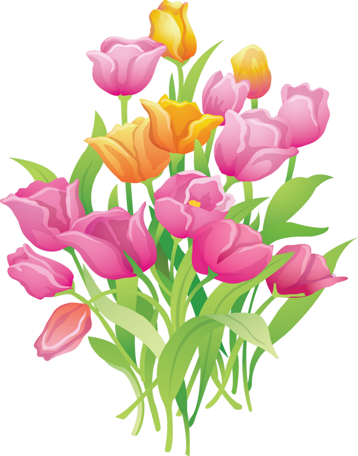 Лунный календарь посадки тюльпанов в марте 2019 года
