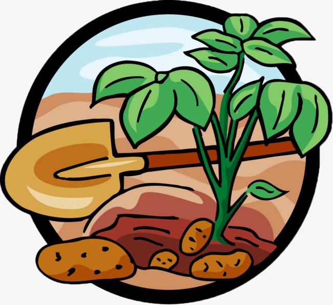 Посадка картофеля апрель 2020, когда сажать картошку, лунный календарь с благоприятными днями высаживать