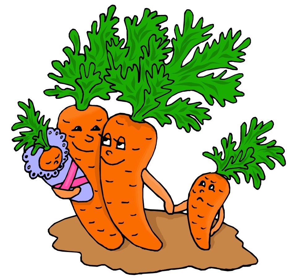 Посадка моркови февраль 2020 когда сажать морковку в грунт, благоприятные дни, лунный календарь высаживать