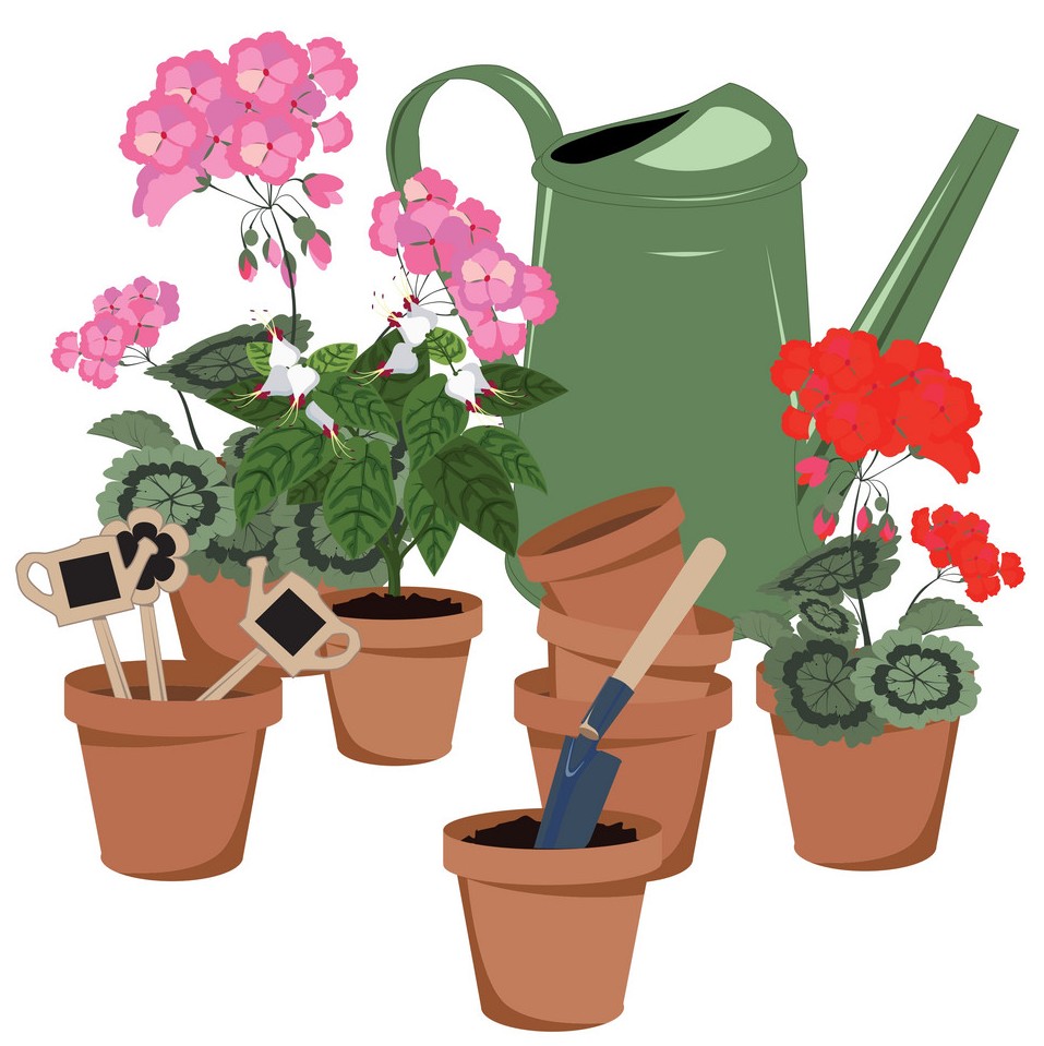 Посадка растений в мае 2020, лунный календарь комнатных, благоприятные дни сажать, высаживать