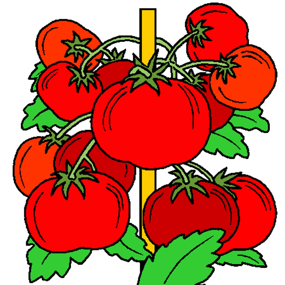 Посадка томатов 2019 благоприятные дни рассады помидор