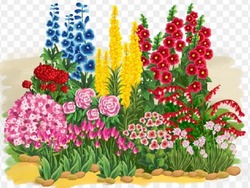 Посев Цветов семенами 2024 сажать Цветы рассадой, благоприятные дни, календарь лунный