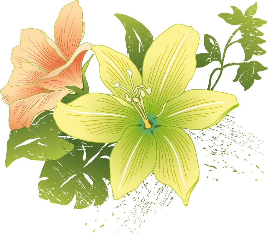 Сажать лилии в августе 2019 высаживать, посадка и рассадка