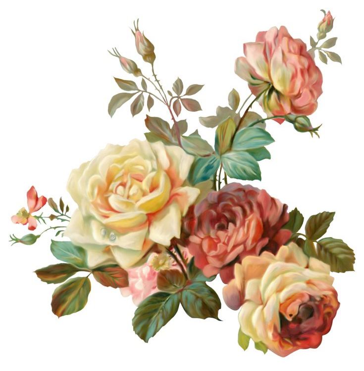 Сажать розы в марте 2019 высаживать, посадка кустов роз