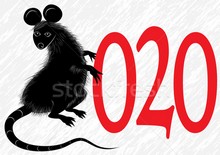 Символ 2020 года