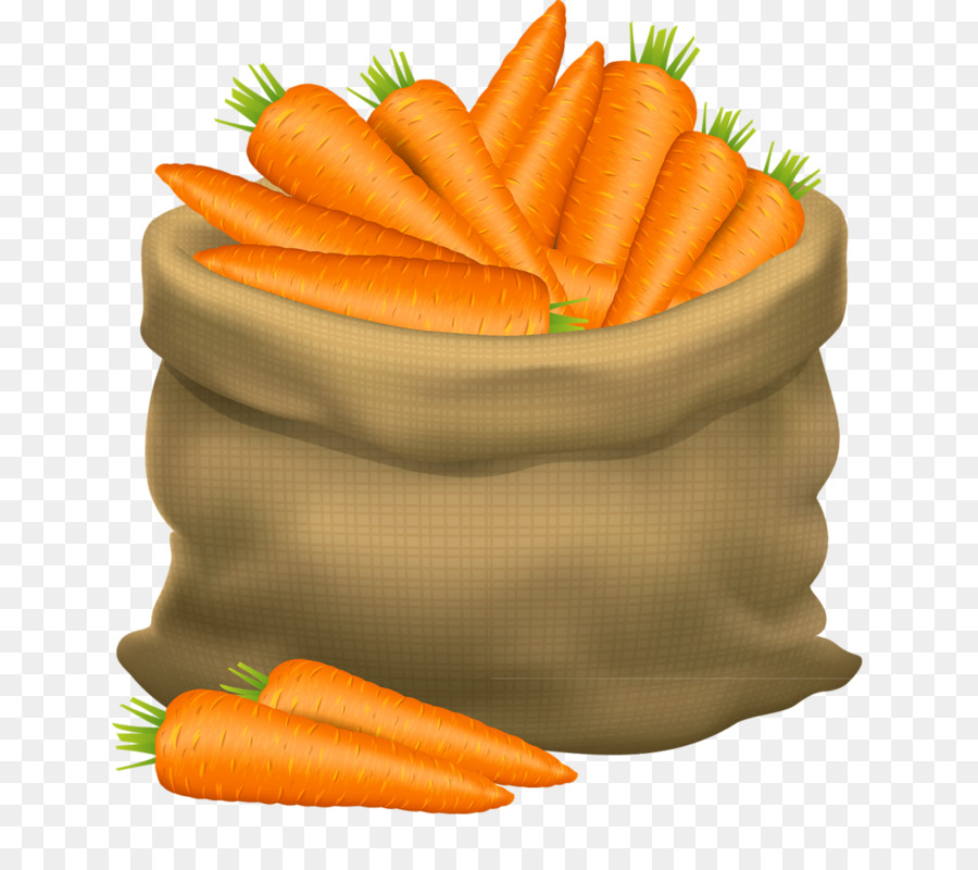 Сроки сажать морковь 2020, лучшие дни высадки морковки в открытый грунт