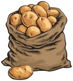 Уборка картофеля в 2024 когда копать картошку, календарь, благоприятные лунные дни убирать