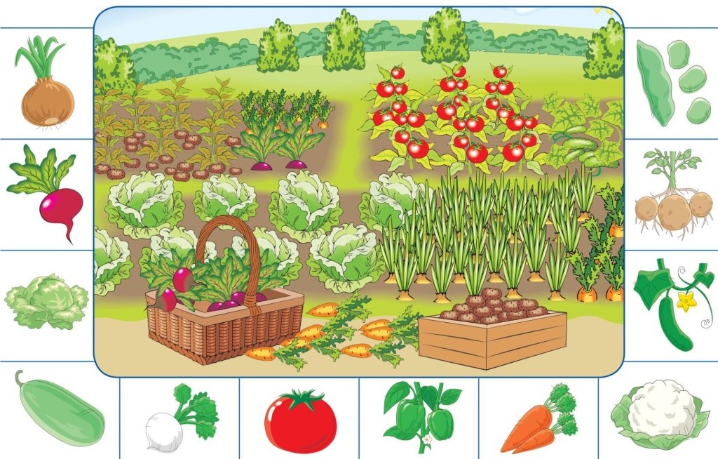 Выращивание семян лука батуна, перца и картофеля 2020 благоприятные дни