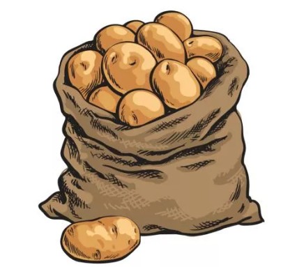 Высаживать картофель осенью 2020, посадка картофеля в благоприятные дни