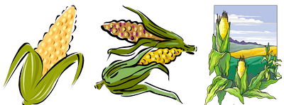 Календарь кукурузы 2018 года