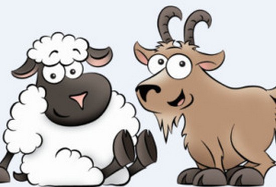 Год Козы и Овцы
