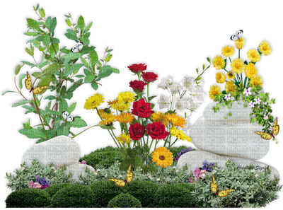 Календарь цветов и цветочных растений цветоводу августа 2020