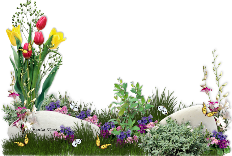 Календарь Цветовода май 2020 посадки цветов в благоприятные дни, когда сеять и сажать цветы