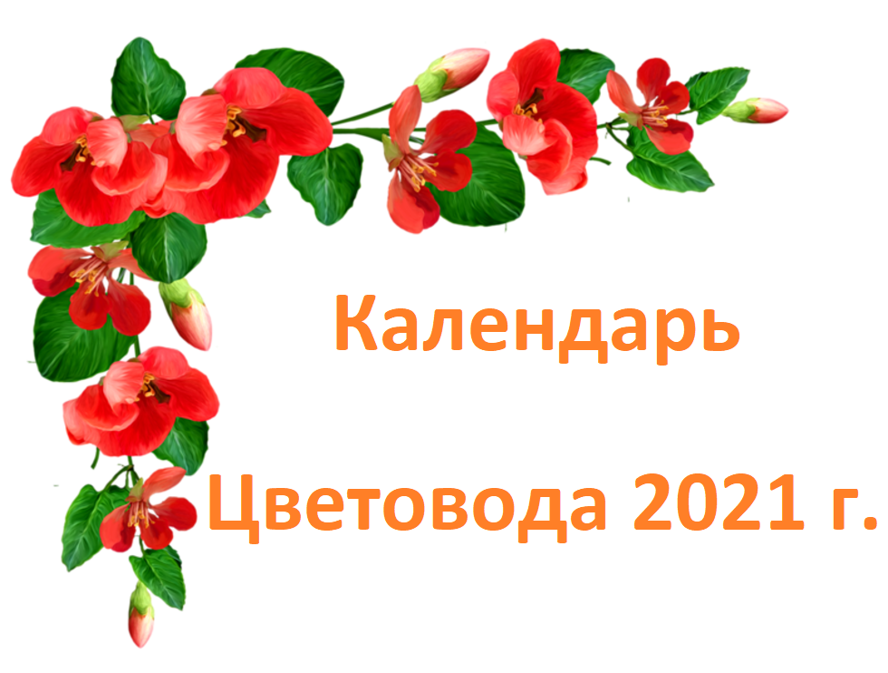 Календарь Цветовода с посадкой цветов 2021 Лунный цветочный, таблица, благоприятные дни сажать цветы
