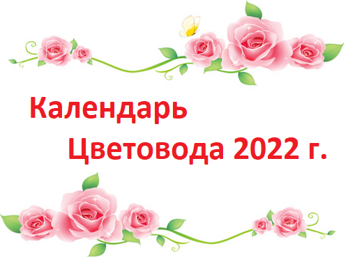 Календарь Цветовода с посадкой цветов 2022 лунный, цветочная таблица, благоприятные дни сажать цветы