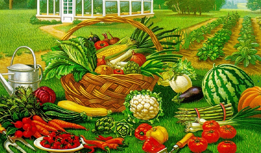 Календарь огородника посевной Московской области 2020 лунный, посадка картофеля, капусты, перец, томаты, огурцы, лук, чеснок, Москвы