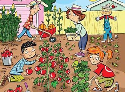 Календарь огородника посевной Вятки 2020 лунный, посадка картофеля, капусты, перец, томаты, огурцы, лук, чеснок, Кировской области