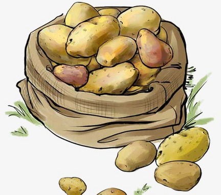 Посадка картошки 2019 благоприятные дни