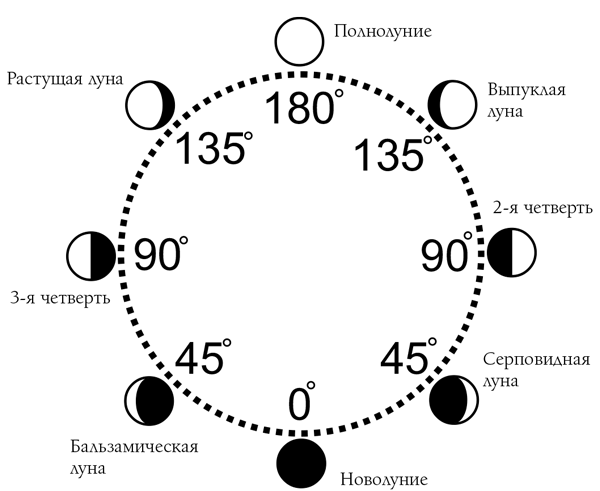 Луна в определенное время. Фазы Луны. Лунный календарь схема. Лунный цикл по дням. Солнечно лунный цикл в астрологии.